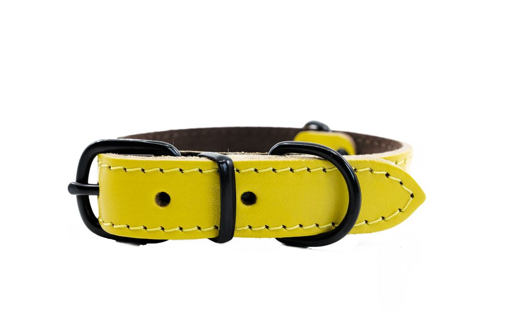 Světýlko blikací BIVOUAK oříšek USB modrá Zolux MEGASLEVA Světýlko blikací BIVOUAK oříšek USB modrá Zolux MEGASLEVA