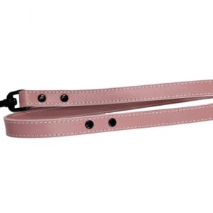 Roboran Chondro 7 pro psy 60tbl