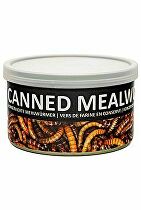 UGF moučný červ konzerva 35g