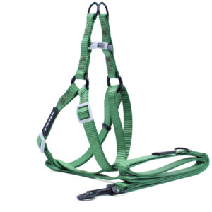 Vsepropejska Georgia postroj pro psa s vodítkem Barva: Tmavě zelená, Obvod hrudníku: 32 – 46 cm