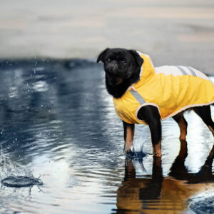 Vsepropejska Roy reflexní pláštěnka pro psa Barva: Žlutá, Délka zad (cm): 34, Obvod hrudníku: 42 – 46 cm