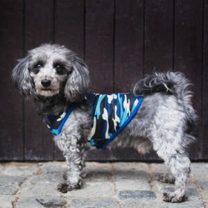 Vsepropejska Yoko maskáčové tričko pro psa Barva: Modrá, Délka zad (cm): 27, Obvod hrudníku: 34 – 38 cm