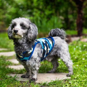 Vsepropejska Yoko maskáčové tričko pro psa Barva: Modrá, Délka zad (cm): 37, Obvod hrudníku: 42 – 46 cm