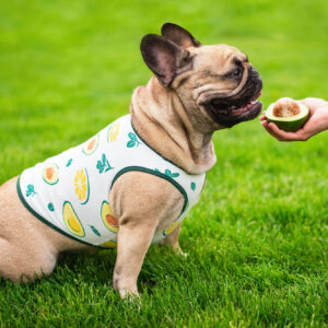 Vsepropejska Zada ovocné tričko s potiskem pro psa Barva: Zelená, Délka zad (cm): 20, Obvod hrudníku: 32 – 36 cm