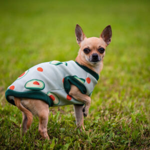 Vsepropejska Wabi mikina s avokádem pro psa Barva: Zelená, Délka zad (cm): 36, Obvod hrudníku: 43 – 46 cm