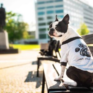 Vsepropejska Birk mikina s obrázkem pro psa Barva: Šedá, Délka zad (cm): 17, Obvod hrudníku: 32 – 35 cm