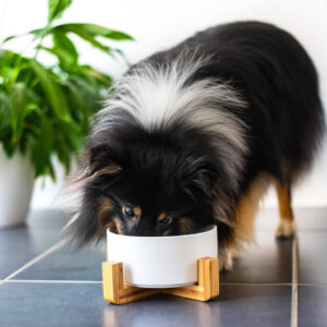 Vsepropejska Tabby keramická miska pro psa či kočku Barva: Bílá, Rozměr (cm): 12