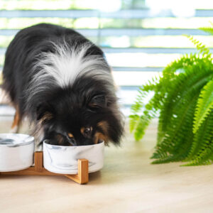 Vsepropejska Garbo dvojitá mramorová keramická miska pro psa či kočku Barva: Šedá, Rozměr (cm): 12