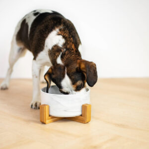 Vsepropejska Odelie mramorová keramická miska pro psa či kočku Barva: Šedá, Rozměr (cm): 12