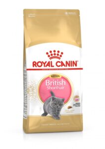 Royal Canin  Kitten British Shorthair 10 kg