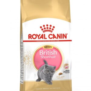 Royal Canin  Kitten British Shorthair 10 kg