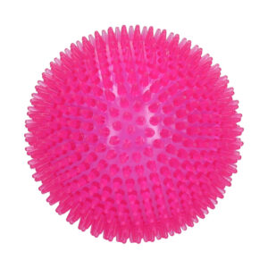 Dog Comets Exoplanet ježatý míč růžový L/10cm