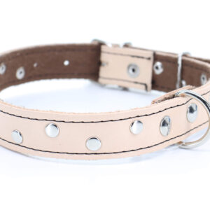 Loon kožený obojek pro psa | 22 – 65 cm Barva: Béžová, Obvod krku: 56 – 65 cm, Šířka: 2,5 cm