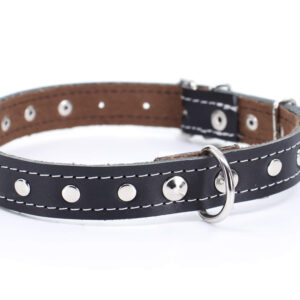 Loon kožený obojek pro psa | 22 – 65 cm Barva: Černá, Obvod krku: 56 – 65 cm, Šířka: 2,5 cm