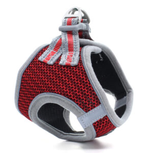 Vsepropejska Dumo postroj pro psa s vodítkem | 26 – 43 cm Barva: Červená, Obvod hrudníku: 26 – 28 cm