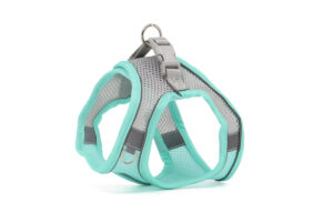 Vsepropejska Neve postroj pro psa s vodítkem | 22 – 46 cm Barva: Tyrkysová, Obvod hrudníku: 40 - 46 cm