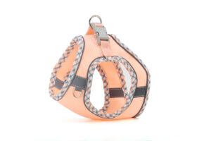 Vsepropejska Neve postroj pro psa s vodítkem | 22 – 46 cm Barva: Lososová, Obvod hrudníku: 40 - 46 cm