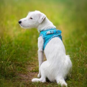 Vsepropejska Neve postroj pro psa s vodítkem | 22 – 46 cm Barva: Modrá s lemem, Obvod hrudníku: 30 – 35 cm