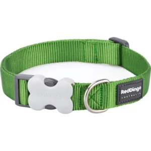 Obojek RD 25 mm x 41-63 cm - Jednobar.- Zelená