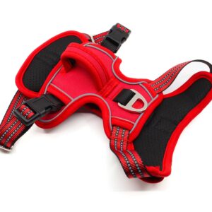 Vsepropejska Porto sportovní postroj pro psa Barva: Červená, Obvod hrudníku: 54 – 64 cm