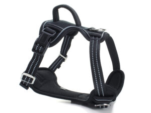 Vsepropejska Porto sportovní postroj pro psa Barva: Černá, Obvod hrudníku: 48 - 58 cm