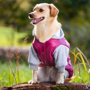 Vsepropejska Tabs bunda pro psa Barva: Růžová, Délka zad (cm): 35, Obvod hrudníku: 40 – 43 cm