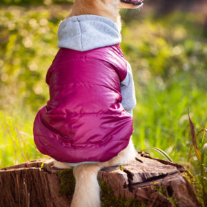 Vsepropejska Tabs bunda pro psa Barva: Růžová, Délka zad (cm): 33, Obvod hrudníku: 36 – 39 cm