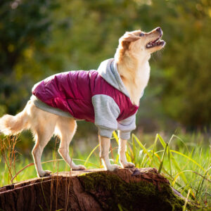 Vsepropejska Tabs bunda pro psa Barva: Růžová, Délka zad (cm): 25, Obvod hrudníku: 32 – 34 cm