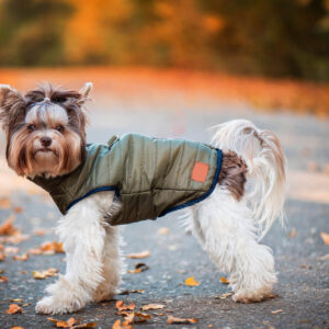 Vsepropejska Targa podzimní bunda pro psa Barva: Zelená, Délka zad (cm): 28, Obvod hrudníku: 33 – 36 cm