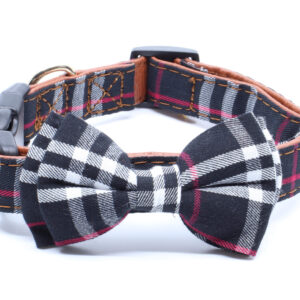 Vsepropejska Luky obojek s motýlkem | 24 – 55 cm Barva: Černá, Obvod krku: 36 – 55 cm, Šířka: 2,5 cm