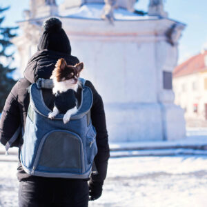 Seb batoh pro psa | do 3 Kg Barva: Modrá