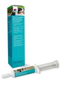 COVETRUS brand Pet Intestinal Formula Paste 15ml CVET