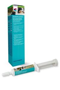 COVETRUS brand Pet Intestinal Formula Paste 60ml CVET