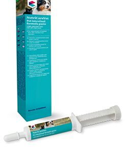 COVETRUS brand Pet Intestinal Formula Paste 60ml CVET