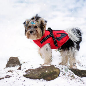 Vsepropejska Tandor zimní bunda pro psa s postrojem Barva: Červená, Délka zad (cm): 45, Obvod hrudníku: 58 – 62 cm