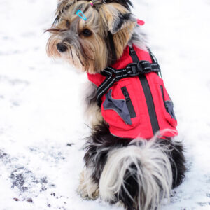 Vsepropejska Tandor zimní bunda pro psa s postrojem Barva: Červená, Délka zad (cm): 50, Obvod hrudníku: 62 – 66 cm