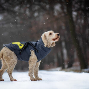 Vsepropejska Tandor zimní bunda pro psa s postrojem Barva: Šedá, Délka zad (cm): 25, Obvod hrudníku: 40 – 44 cm