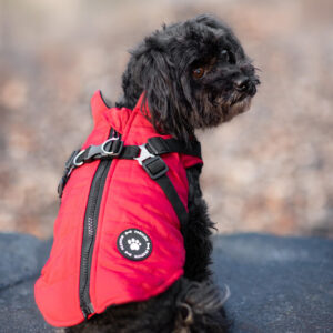 Vsepropejska Diamant zimní bunda pro psa s postrojem Barva: Červená, Délka zad (cm): 25, Obvod hrudníku: 34 – 36 cm