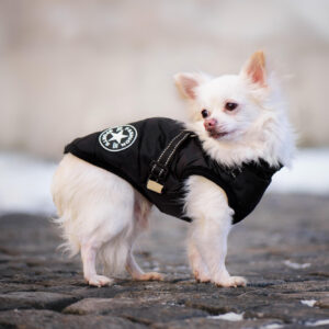 Vsepropejska Achar zimní bunda pro psa s postrojem Barva: Černá, Délka zad (cm): 34, Obvod hrudníku: 45 – 49 cm