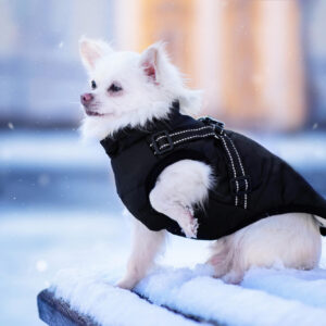 Vsepropejska Achar zimní bunda pro psa s postrojem Barva: Černá, Délka zad (cm): 30, Obvod hrudníku: 41 – 45 cm