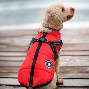 Vsepropejska Achar zimní bunda pro psa s postrojem Barva: Červená, Délka zad (cm): 38, Obvod hrudníku: 48 – 51 cm