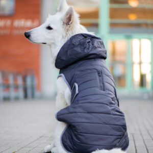 Vsepropejska Yogi zimní bunda pro psa Barva: Šedá, Délka zad (cm): 28, Obvod hrudníku: 30 – 36 cm