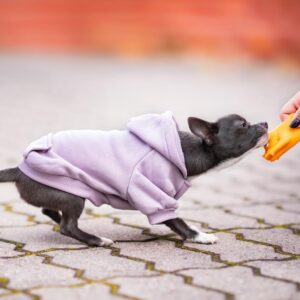 Vsepropejska Mitexi mikina s kapsou pro psa Barva: Fialová, Délka zad (cm): 18, Obvod hrudníku: 30 – 34 cm