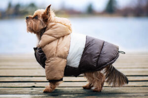 Vsepropejska Palaton prošívaná bunda pro psa s kapucí Barva: Hnědá, Délka zad (cm): 18, Obvod hrudníku: 30 - 32 cm