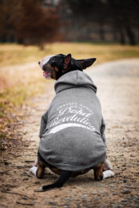 Vsepropejska Lye mikina pro psa Barva: Šedá, Délka zad (cm): 29, Obvod hrudníku: 40 - 44 cm