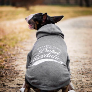 Vsepropejska Lye mikina pro psa Barva: Šedá, Délka zad (cm): 29, Obvod hrudníku: 40 – 44 cm