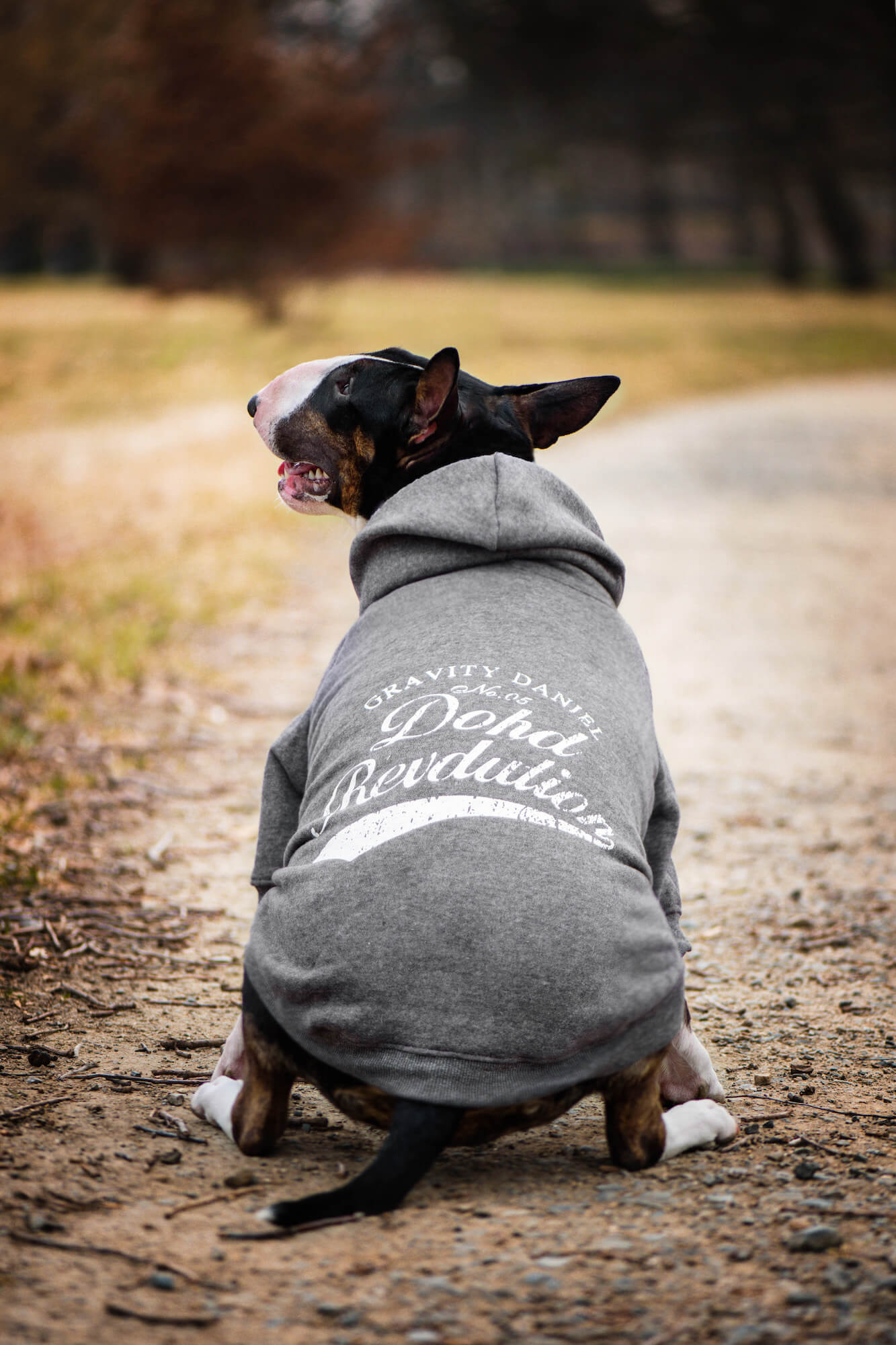 Vsepropejska Lye mikina pro psa Barva: Šedá, Délka zad (cm): 18, Obvod hrudníku: 29 - 33 cm Vsepropejska Lye mikina pro psa Barva: Šedá, Délka zad (cm): 18, Obvod hrudníku: 29 - 33 cm