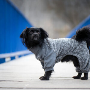 Vsepropejska Kanti chlupatá kombinéza pro psa Barva: Šedá, Délka zad (cm): 24, Obvod hrudníku: 34 – 40 cm