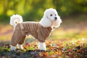 Vsepropejska Kanti chlupatá kombinéza pro psa Barva: Béžová, Délka zad (cm): 38, Obvod hrudníku: 52 - 58 cm