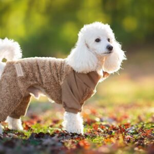 Vsepropejska Kanti chlupatá kombinéza pro psa Barva: Béžová, Délka zad (cm): 24, Obvod hrudníku: 34 – 40 cm